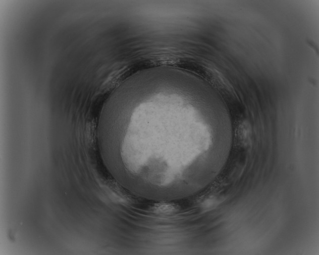 X0000091910218200709191326