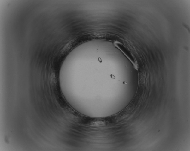 X0000091910220200709191326