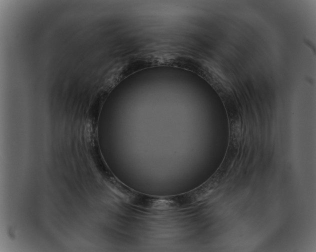 X0000091910222200709191326