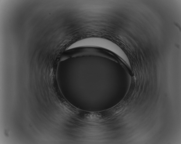 X0000091910223200709191326