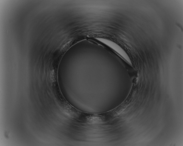 X0000091910224200709191326