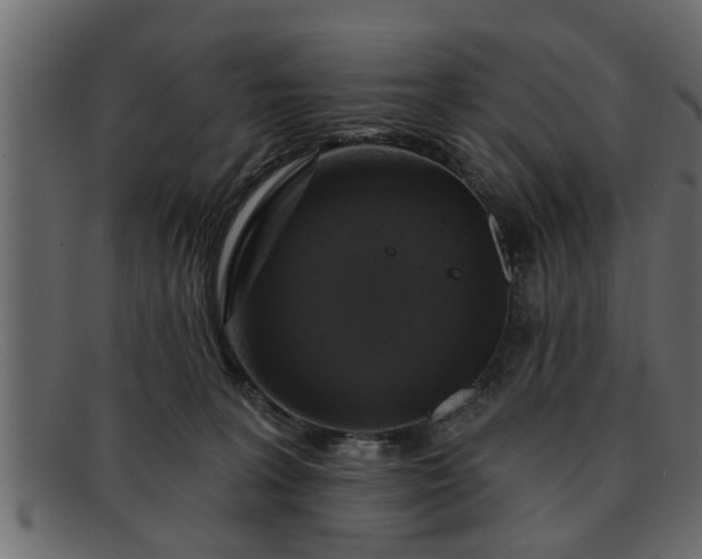 X0000091910227200709191326