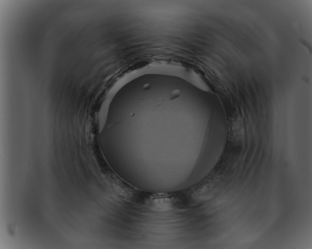 X0000091910228200709191326