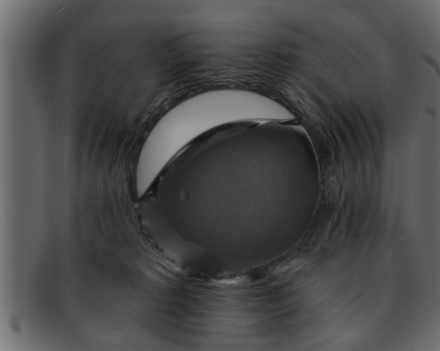 X0000091910229200709191326