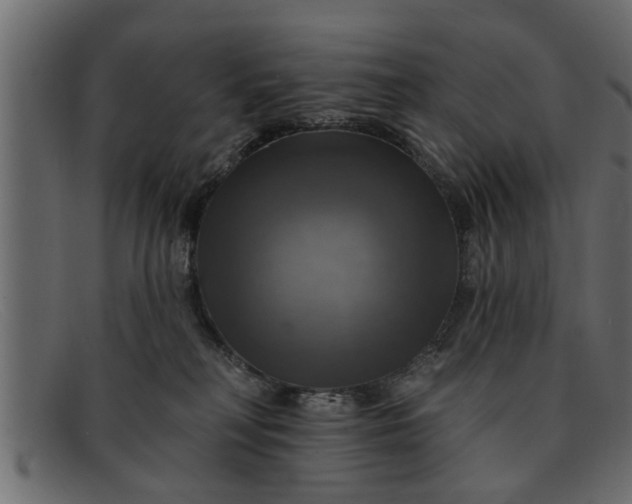 X0000091910230200709191326