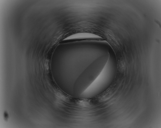 X0000091910232200709191326