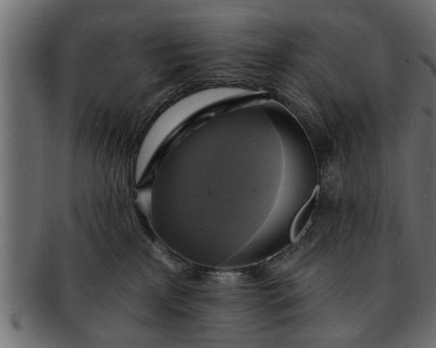 X0000091910233200709191326