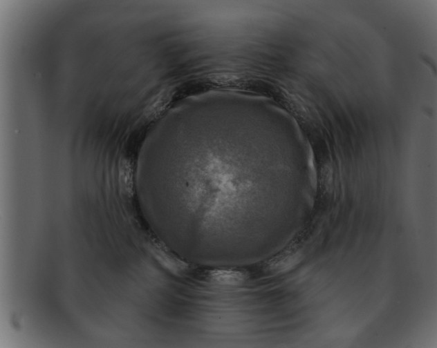 X0000091910234200709191326