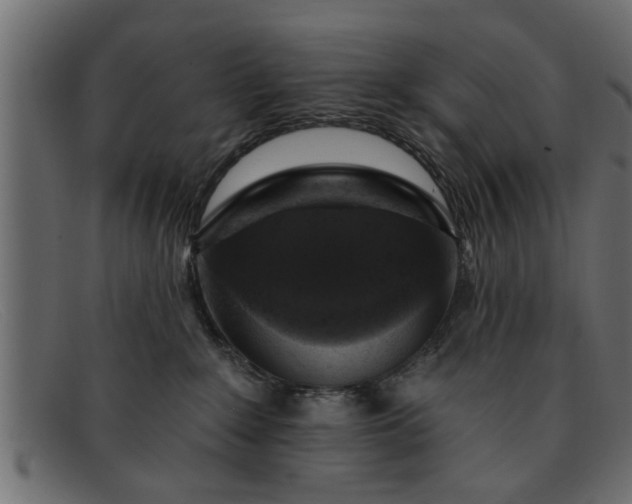 X0000091910235200709191326