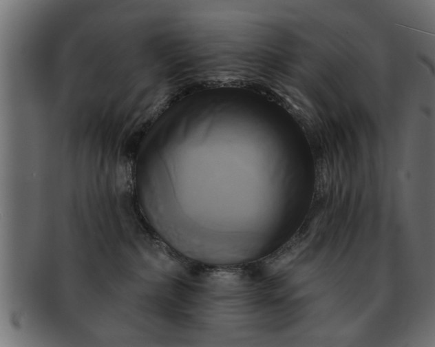 X0000091910236200709191326