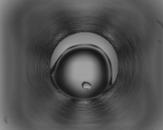 X0000091910237200709191326