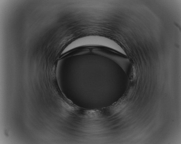 X0000091910239200709191326