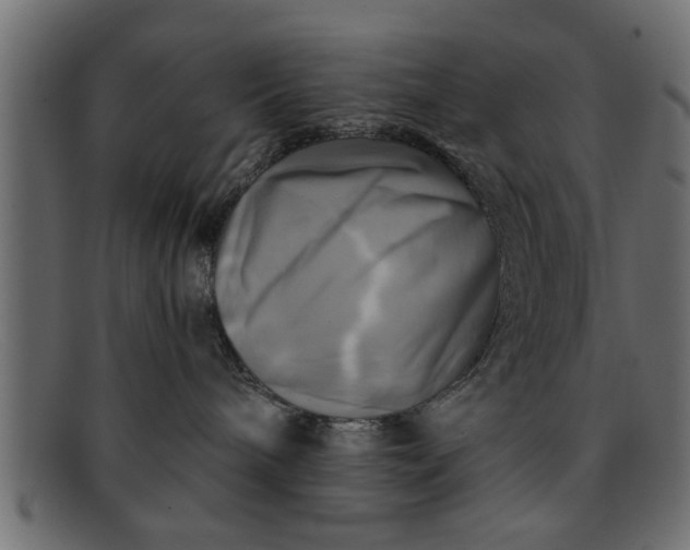 X0000091910240200709191326