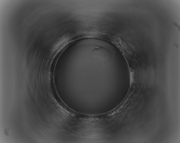 X0000091910243200709191325