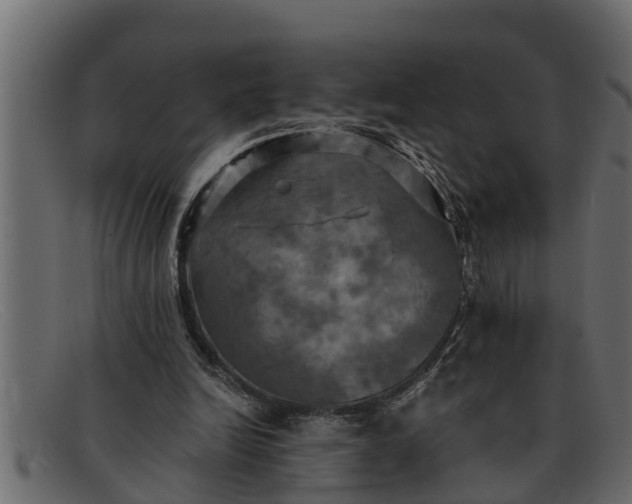 X0000091910246200709191325