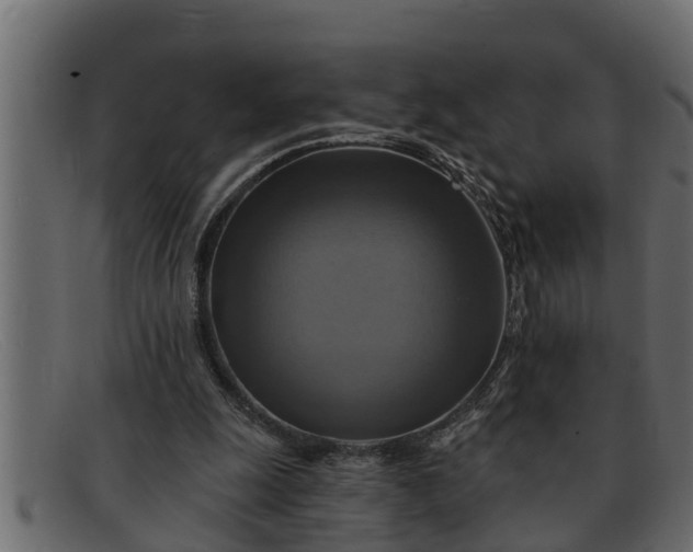 X0000091910247200709191325