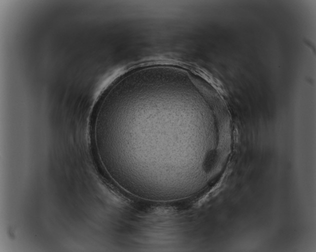 X0000091910248200709191325