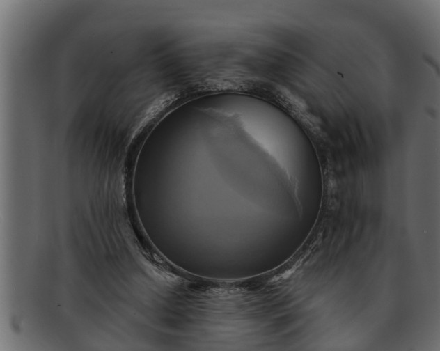 X0000091910250200709191325