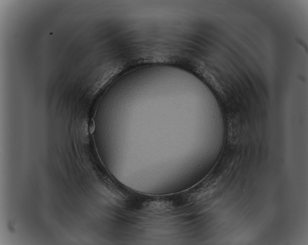 X0000091910251200709191325