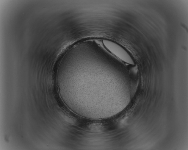 X0000091910252200709191325