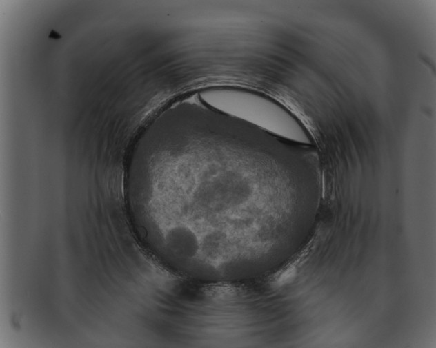 X0000091910253200709191325