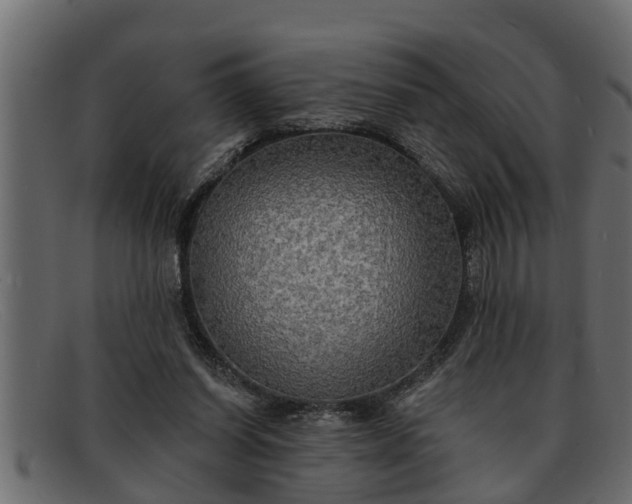 X0000091910254200709191325