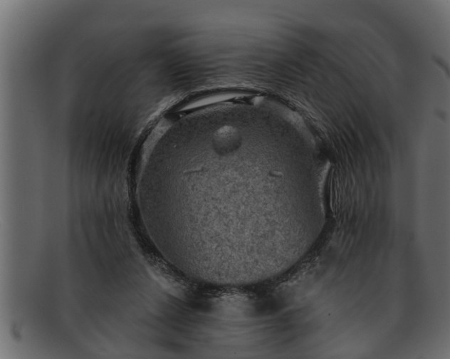 X0000091910256200709191325