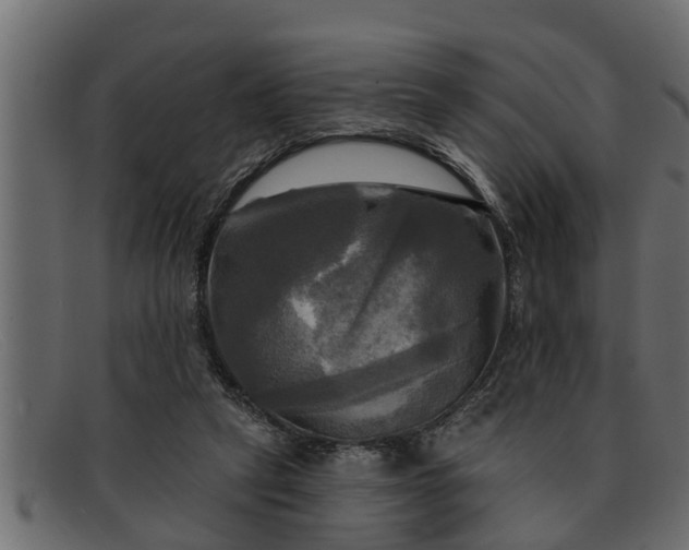 X0000091910257200709191325