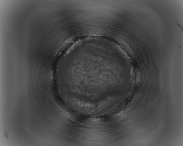 X0000091910260200709191325