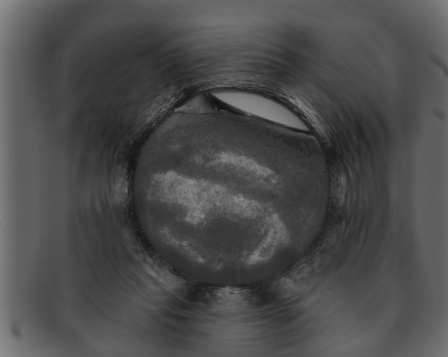 X0000091910261200709191325