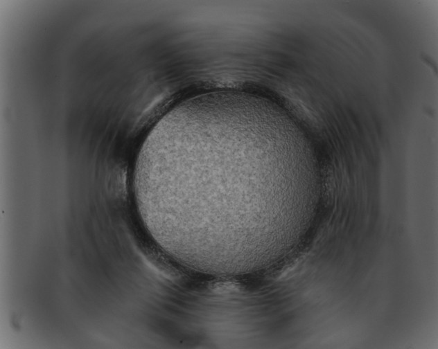 X0000091910262200709191325