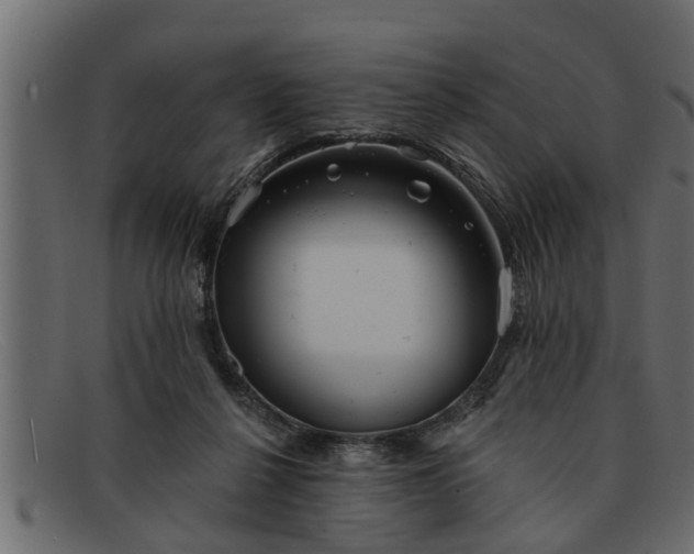 X0000091910264200709191325