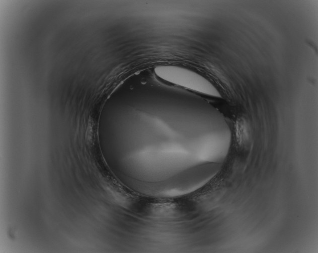 X0000091910266200709191325