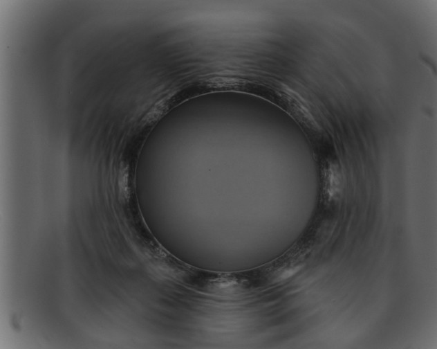 X0000091910267200709191325