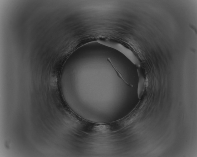 X0000091910269200709191325