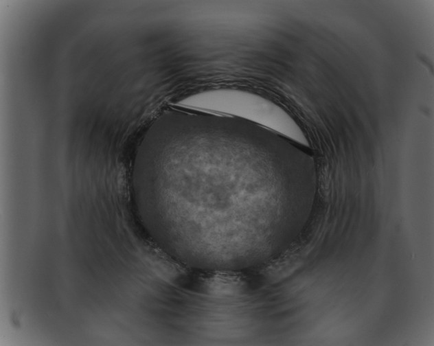 X0000091910270200709191325