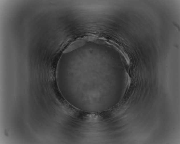 X0000091910272200709191325