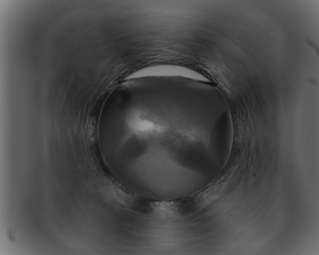 X0000091910273200709191325