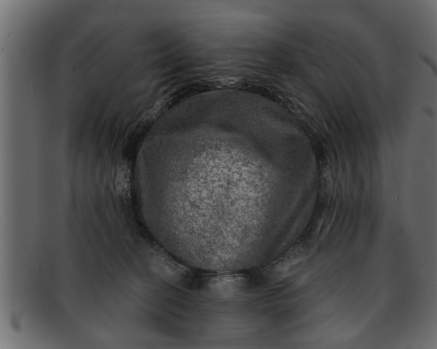 X0000091910274200709191325