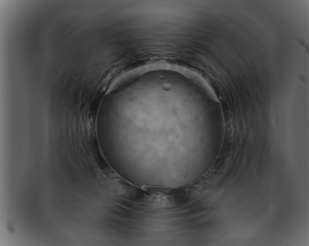 X0000091910276200709191325