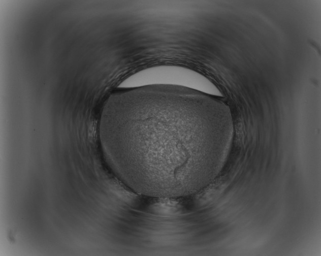 X0000091910278200709191325