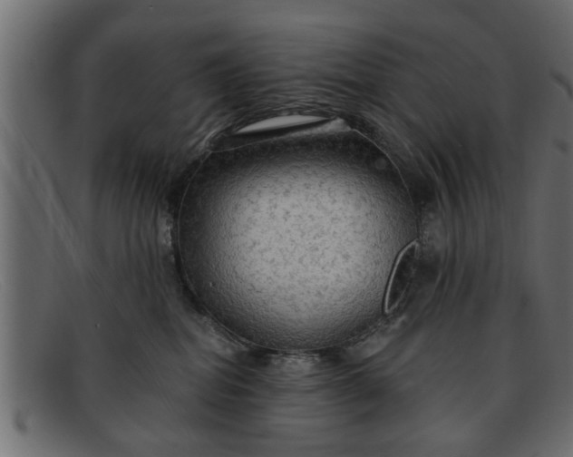 X0000091910282200709191325