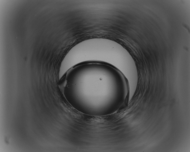 X0000091910284200709191325