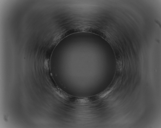 X0000091910286200709191325