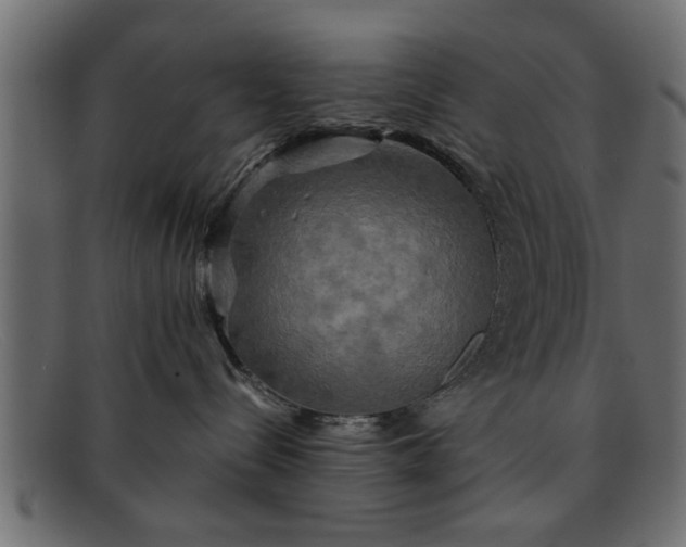 X0000091910288200709191326