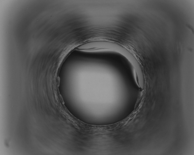 X0000091910289200709191325