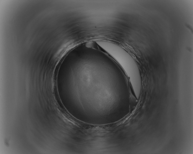 X0000091910290200709191325