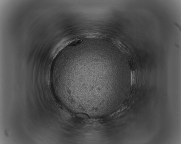 X0000091910291200709191325