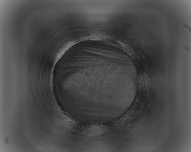 X0000091910292200709191325