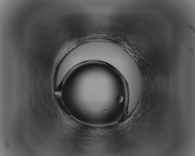 X0000091910293200709191325